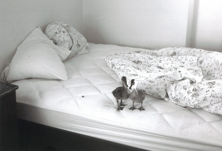 Hunter College Thesis Exhibition – MFA Fall 2011